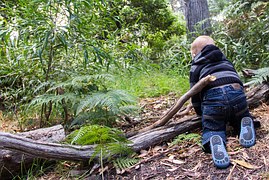 Criança exercita seu espírito investigativo de forma espontânea em meio à natureza