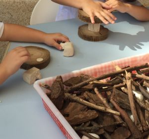 A natureza oferece muitas possibilidades para repertoriar a escola