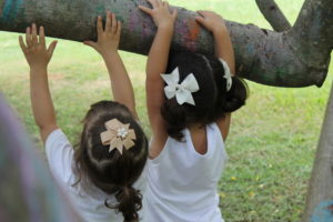 A natureza oferece meios de se desenvolver as relações sociais e a sensibilidade ambiental